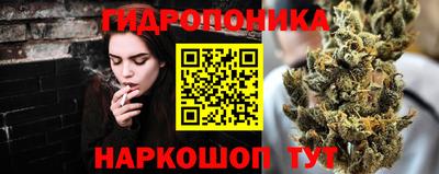 спайс Славгород