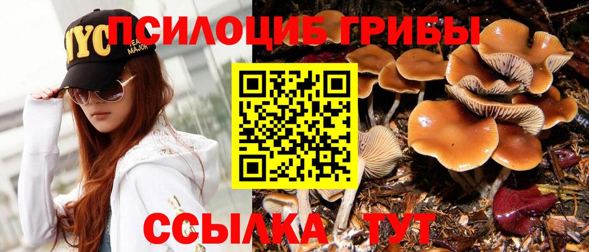 Галлюциногенные грибы мицелий  Галлюциногенные грибы мухоморы  Вход с VPN  Осинники 